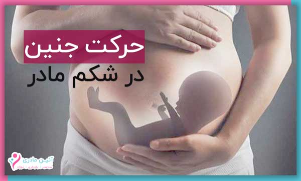 حرکت جنین در شکم مادر